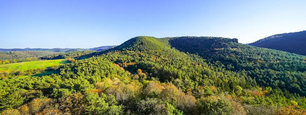Blick auf bewaldete Hügel des Pfälzerwald unter klarem blauem Himmel.