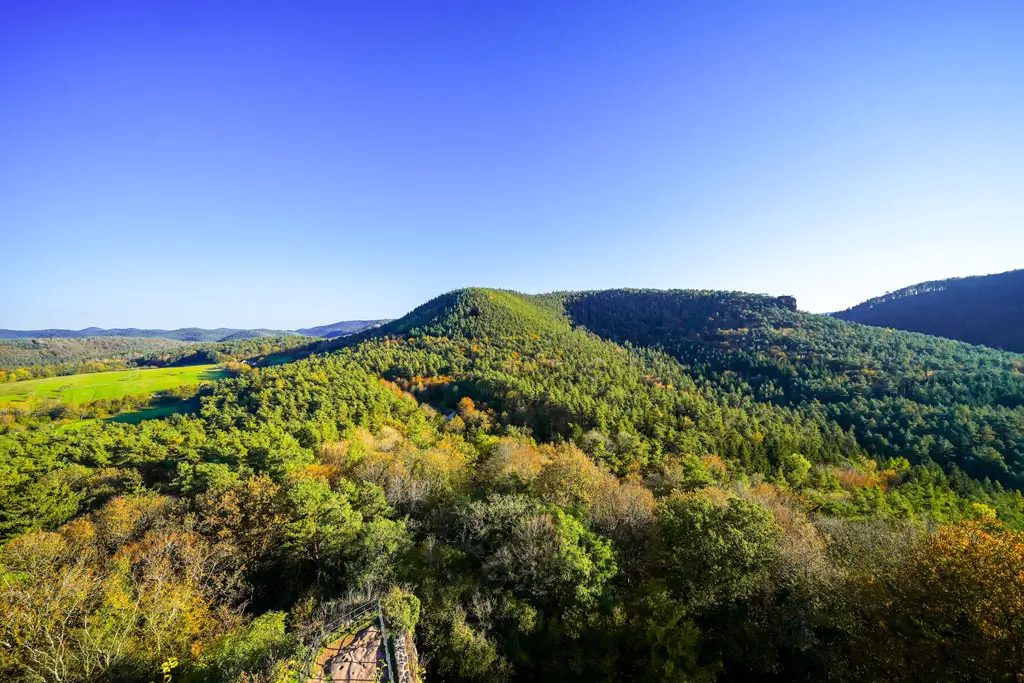 Blick über bewaldete Hügel und Wiesen unter klarem blauem Himmel.