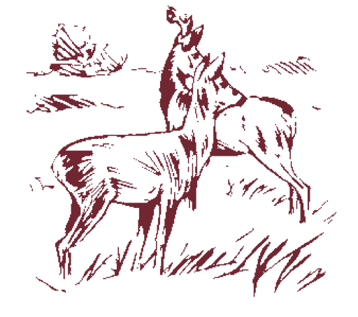 Hotel-Restaurant Haus Waldesruh